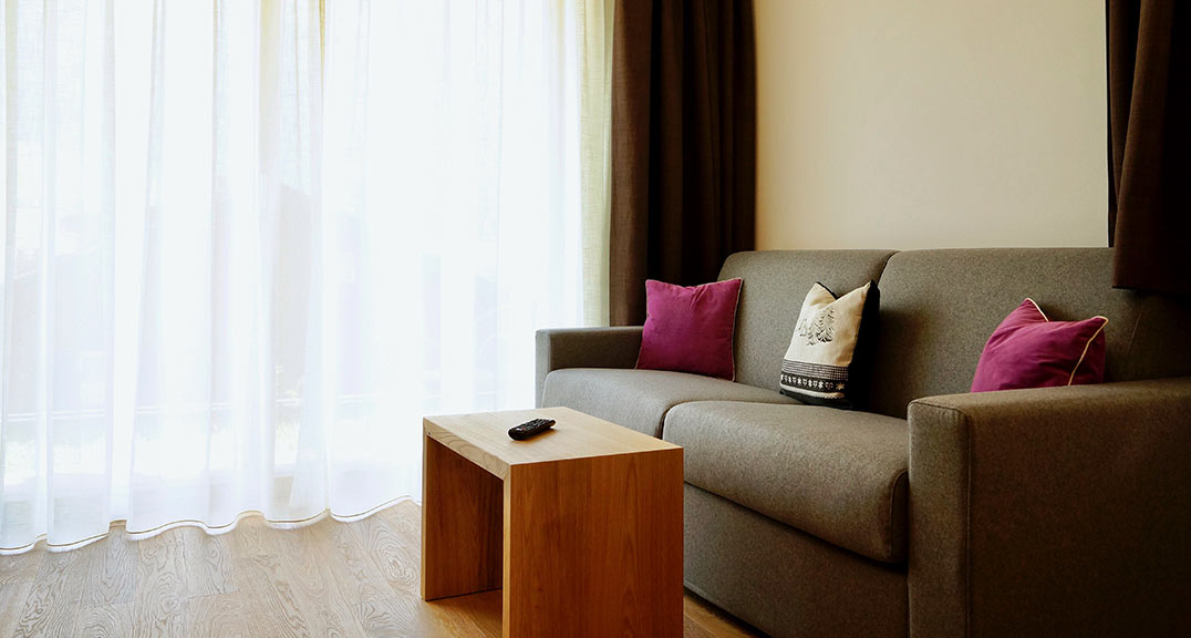 Living room - Apartment Castania - Residence Larciunëi